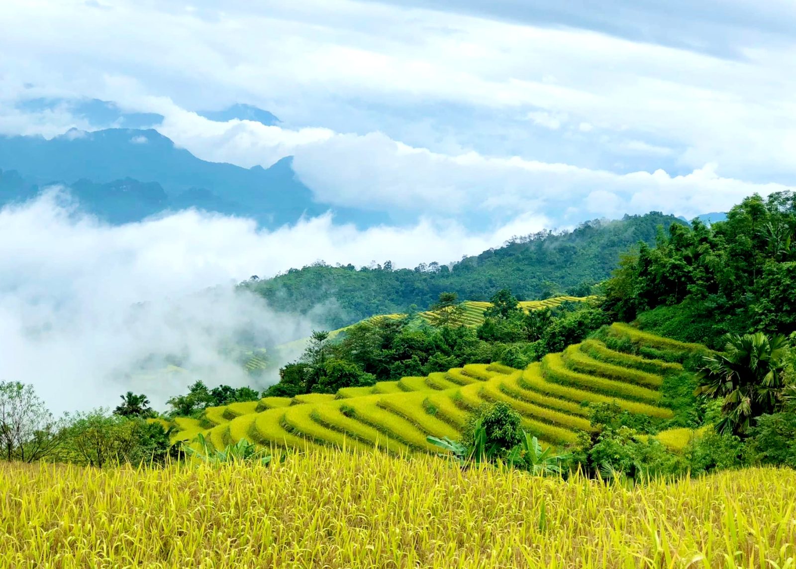 Hà Giang - Nàng thơ của Tây Bắc