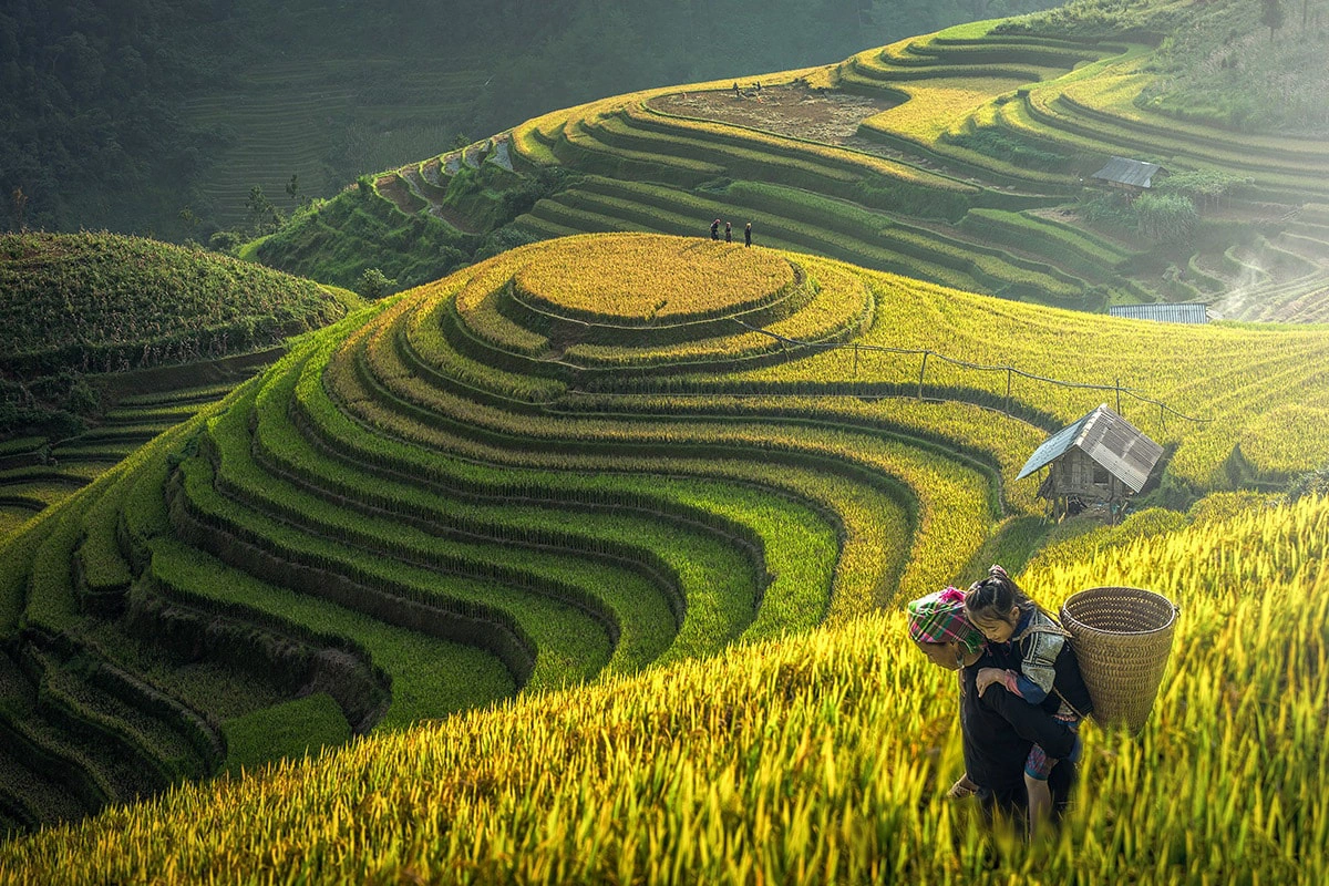 Thời gian nào du lịch Sapa đẹp nhất - Mùa hè